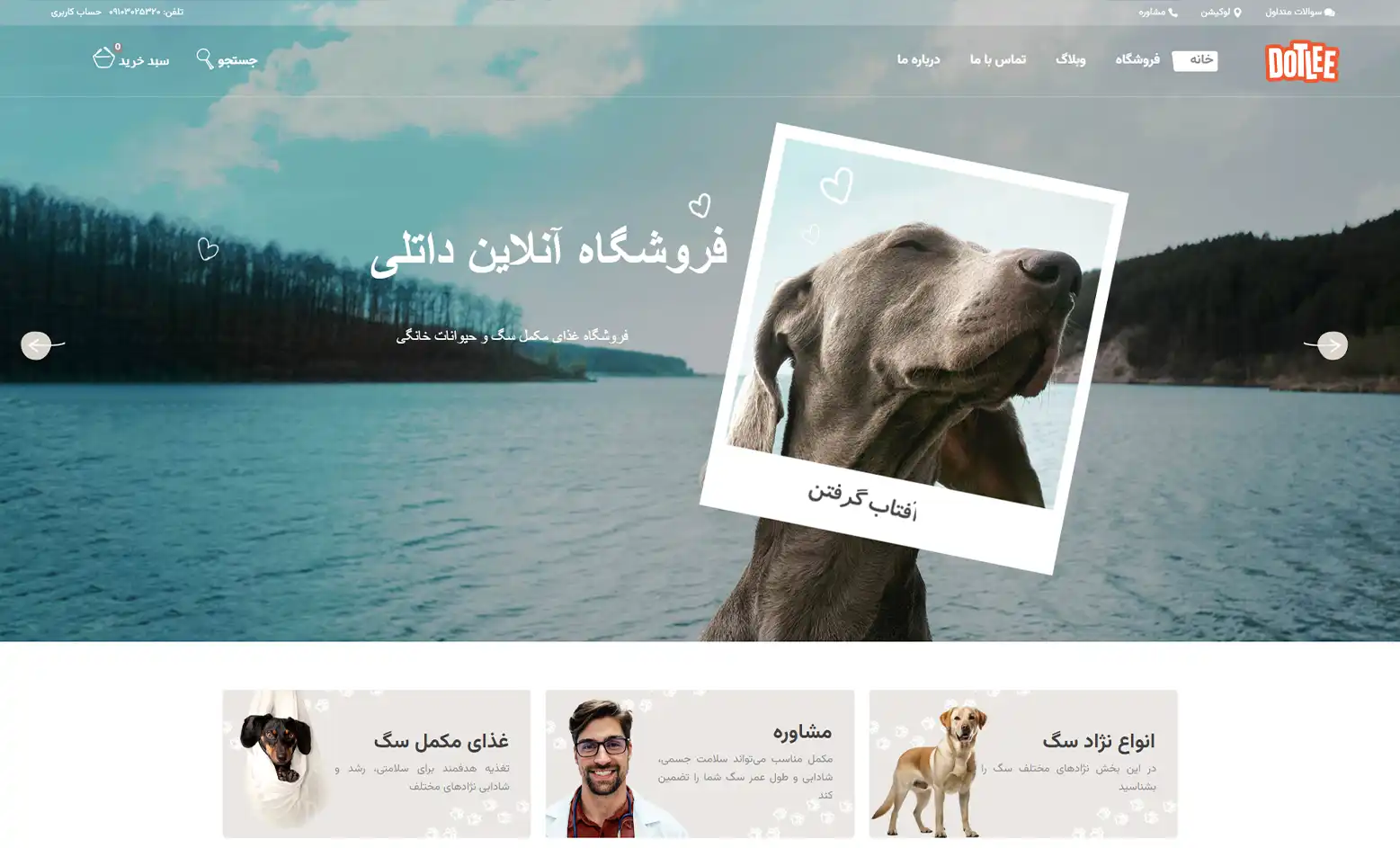 نمای صفحه اصلی وب‌سایت داتلی پت‌کر